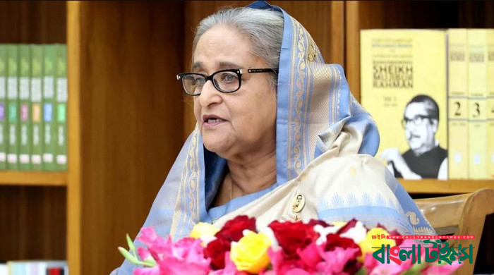 Doing our best to keep economy vibrant: PM